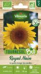 Fleurs - Tournesol Royal Nain - BIO - face recto